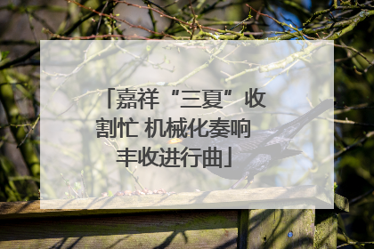 嘉祥“三夏”收割忙 机械化奏响丰收进行曲