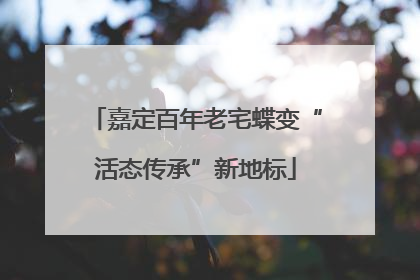 嘉定百年老宅蝶变“活态传承”新地标