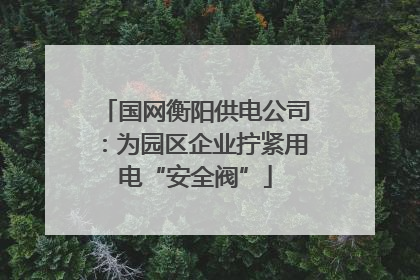 国网衡阳供电公司：为园区企业拧紧用电“安全阀”