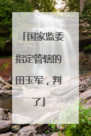 国家监委指定管辖的田玉军，判了