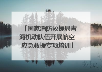 国家消防救援局青海机动队伍开展航空应急救援专项培训