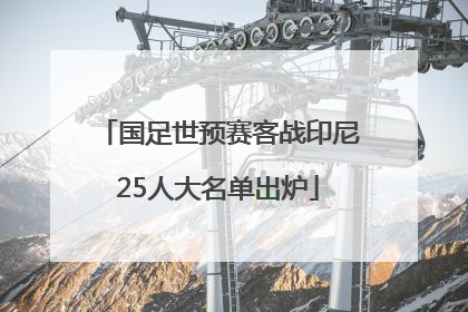 国足世预赛客战印尼25人大名单出炉