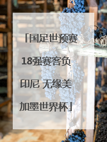 国足世预赛18强赛客负印尼 无缘美加墨世界杯