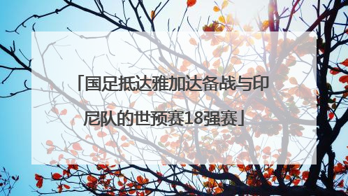 国足抵达雅加达备战与印尼队的世预赛18强赛
