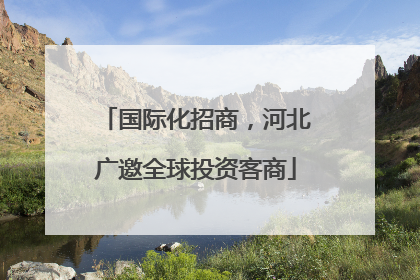 国际化招商，河北广邀全球投资客商