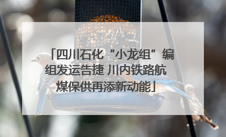四川石化“小龙组”编组发运告捷 川内铁路航煤保供再添新动能