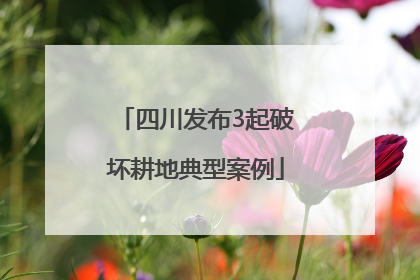 四川发布3起破坏耕地典型案例