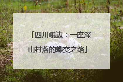 四川峨边：一座深山村落的蝶变之路