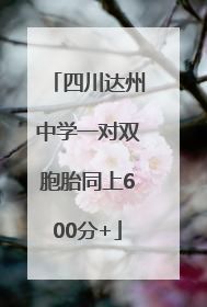 四川达州中学一对双胞胎同上600分+