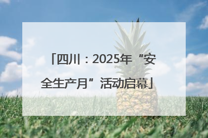 四川：2025年“安全生产月”活动启幕