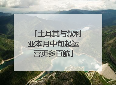 土耳其与叙利亚本月中旬起运营更多直航