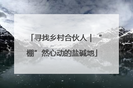 寻找乡村合伙人｜“棚”然心动的盐碱地