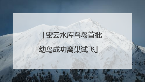 密云水库鸟岛首批幼鸟成功离巢试飞