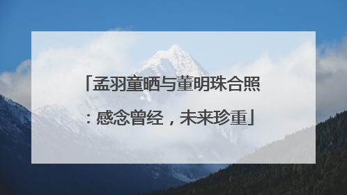 孟羽童晒与董明珠合照：感念曾经，未来珍重