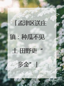 孟津区送庄镇：种瓜不见土 田野更“多金”