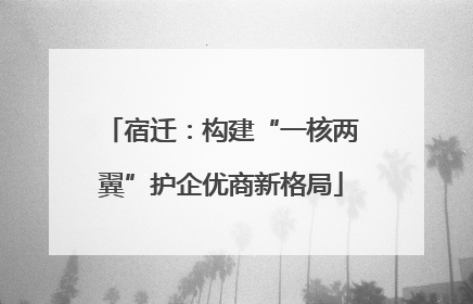 宿迁：构建“一核两翼”护企优商新格局