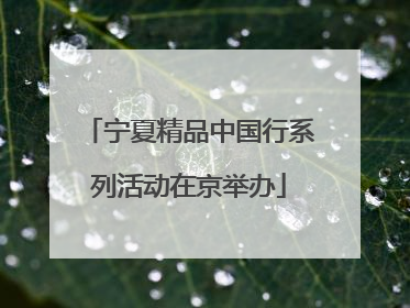 宁夏精品中国行系列活动在京举办