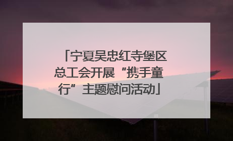 宁夏吴忠红寺堡区总工会开展“携手童行”主题慰问活动