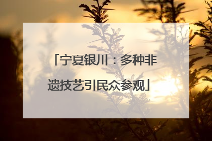 宁夏银川：多种非遗技艺引民众参观