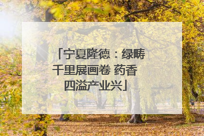宁夏隆德：绿畴千里展画卷 药香四溢产业兴