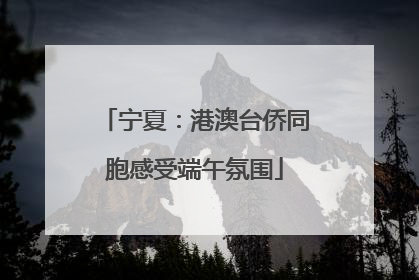 宁夏：港澳台侨同胞感受端午氛围