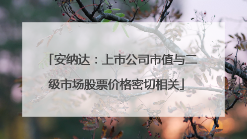 安纳达：上市公司市值与二级市场股票价格密切相关