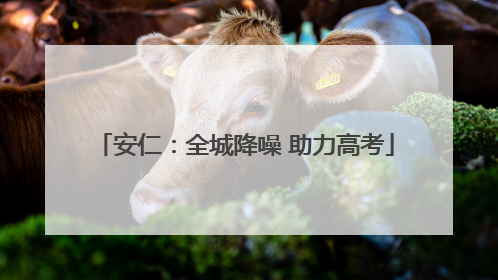 安仁：全城降噪 助力高考