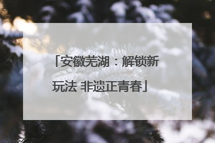 安徽芜湖：解锁新玩法 非遗正青春
