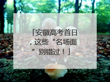 安徽高考首日，这些“名场面”别错过！