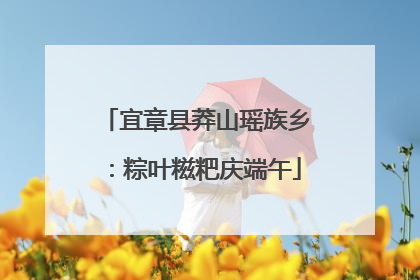 宜章县莽山瑶族乡：粽叶糍粑庆端午