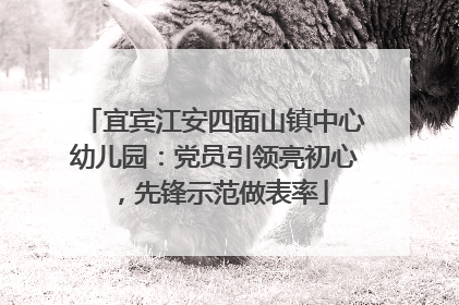 宜宾江安四面山镇中心幼儿园：党员引领亮初心，先锋示范做表率