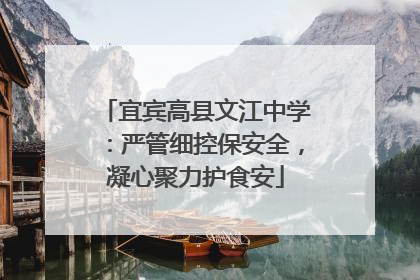 宜宾高县文江中学：严管细控保安全，凝心聚力护食安