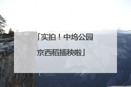 实拍！中坞公园京西稻插秧啦