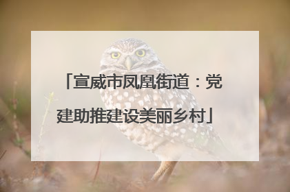 宣威市凤凰街道：党建助推建设美丽乡村