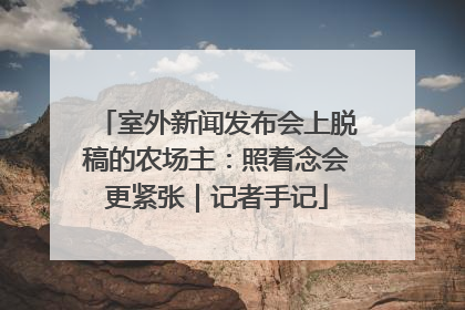 室外新闻发布会上脱稿的农场主：照着念会更紧张｜记者手记