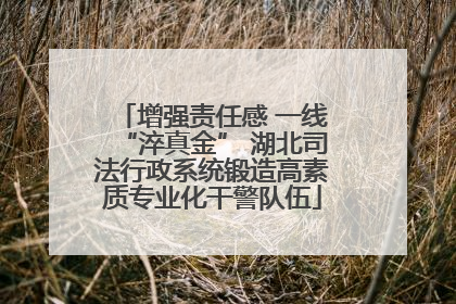 增强责任感 一线“淬真金” 湖北司法行政系统锻造高素质专业化干警队伍