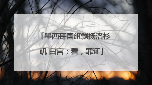 墨西哥国旗飘扬洛杉矶 白宫：看，罪证