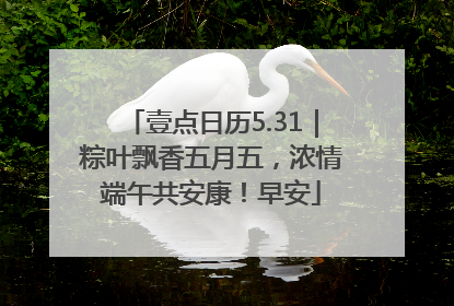 壹点日历5.31｜粽叶飘香五月五，浓情端午共安康！早安