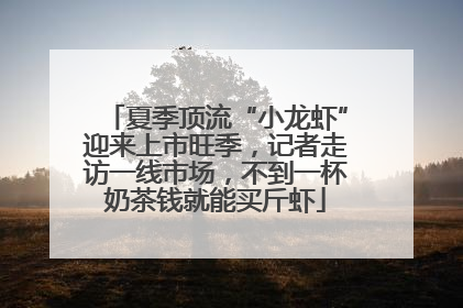 夏季顶流“小龙虾”迎来上市旺季，记者走访一线市场，不到一杯奶茶钱就能买斤虾