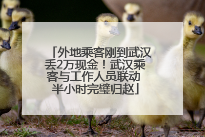 外地乘客刚到武汉丢2万现金！武汉乘客与工作人员联动 半小时完璧归赵