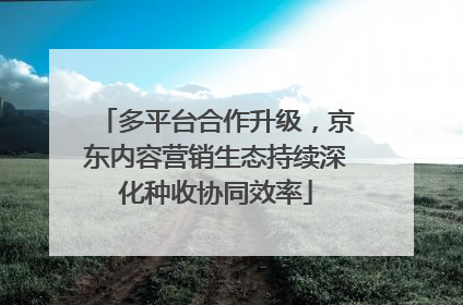 多平台合作升级，京东内容营销生态持续深化种收协同效率