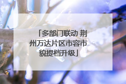 多部门联动 荆州万达片区市容市貌提档升级