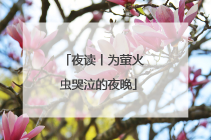 夜读丨为萤火虫哭泣的夜晚