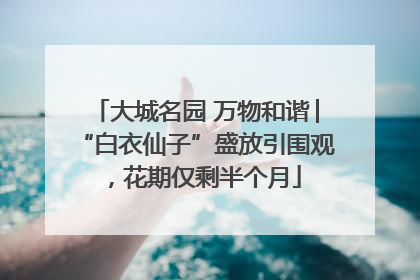 大城名园 万物和谐│“白衣仙子”盛放引围观，花期仅剩半个月