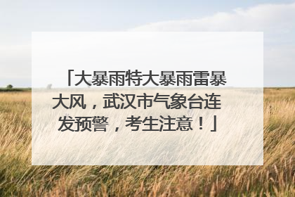 大暴雨特大暴雨雷暴大风，武汉市气象台连发预警，考生注意！