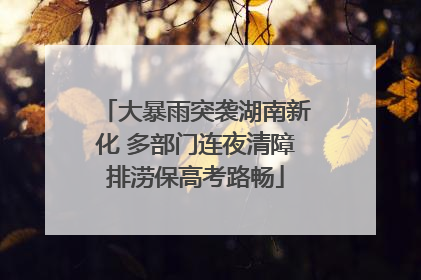 大暴雨突袭湖南新化 多部门连夜清障排涝保高考路畅