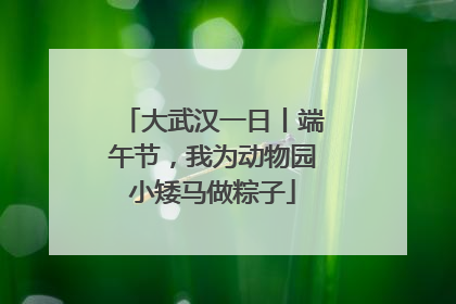 大武汉一日丨端午节，我为动物园小矮马做粽子
