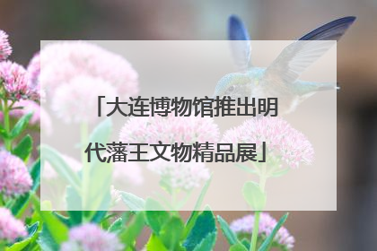 大连博物馆推出明代藩王文物精品展