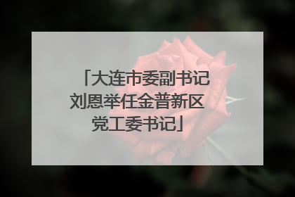 大连市委副书记刘恩举任金普新区党工委书记