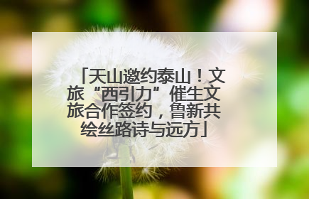 天山邀约泰山！文旅“西引力”催生文旅合作签约，鲁新共绘丝路诗与远方